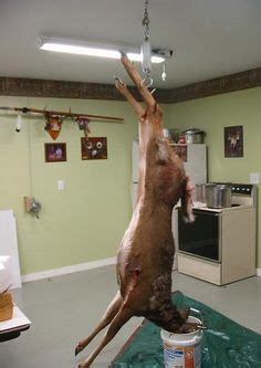 44 Meat Butchering ideas | meat butcher, deer meat, processed meat