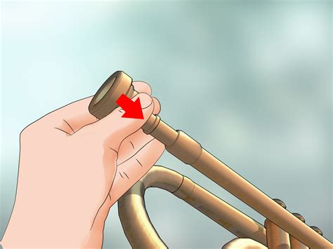 How to Wash a Trumpet (with Pictures) - wikiHow