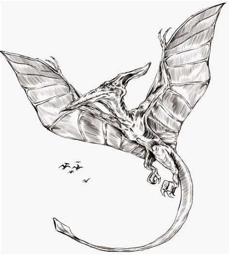 Pterodactyl Drawing at GetDrawings | Free download