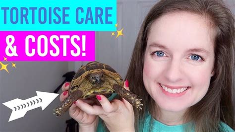 Tortoise Care, Setup & Costs - YouTube