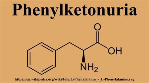 What Is Phenylketonuria? | Healthtian