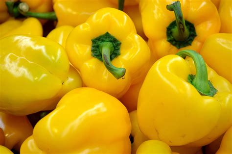 Yellow Pepper Free Stock Photo - Public Domain Pictures
