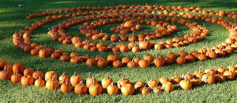 Punkin Chunkin Delaware | Vegetable festival in Bridgeville | Where? What? When?