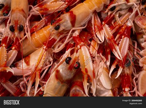 Prawns Market. Natural Image & Photo (Free Trial) | Bigstock