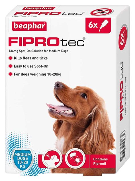 Best Dog Flea Treatment: Dog Flea Treatment Reviews (UK)