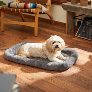 MIDWEST Quiet Time Fleece Reversible Dog Crate Mat, Blue Paw Print, 30-in - Chewy.com