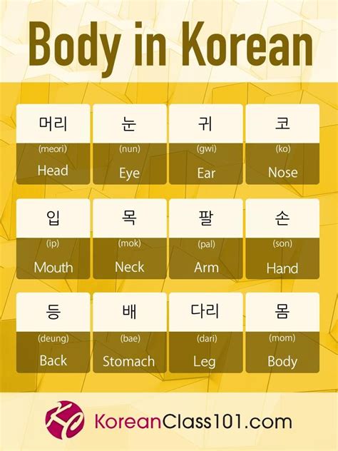 (99+) Tumblr in 2020 | Korean language learning, Learn korean, Korean words learning