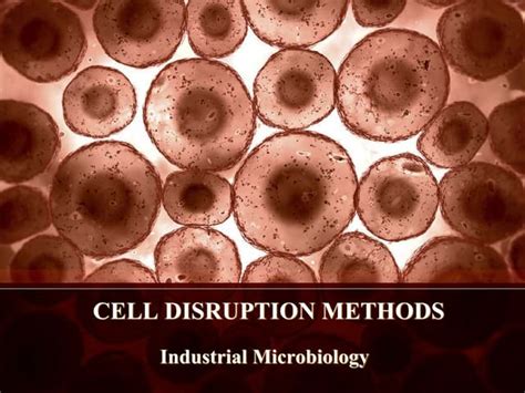 Cell disruption ppt | PPT