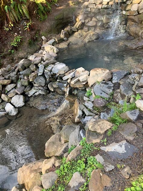 Cougar Hot Springs / Terwilliger Hot Springs – SoakOregon.com