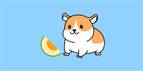 Can Hamsters Eat Cantaloupe? - Hamster Pros