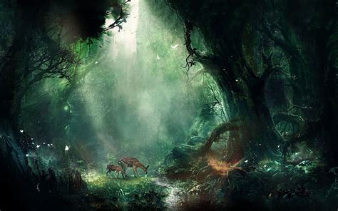 Magic Forest Wallpapers - Top Free Magic Forest Backgrounds - WallpaperAccess