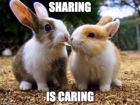 What does sharing is caring mean?