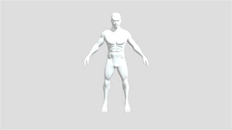 Roronoa Zoro Body - Download Free 3D model by ronin.3dart [254bbf5] - Sketchfab
