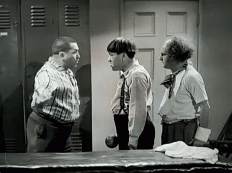 Three Stooges GIFs | Tenor