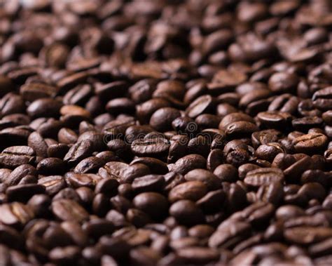 Close up Coffee beans stock photo. Image of coffee, close - 64779456