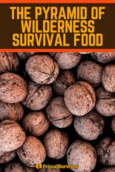 The pyramid of wilderness survival food – Artofit