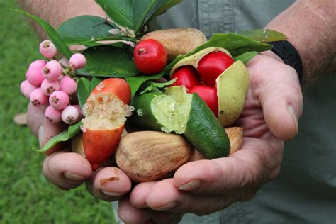 Unlocking the Flavours of Your Backyard: A Guide to Growing Your Own ...