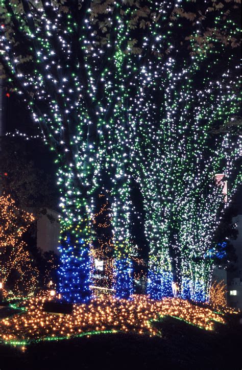 Photo of christmas tree street lights | Free christmas images