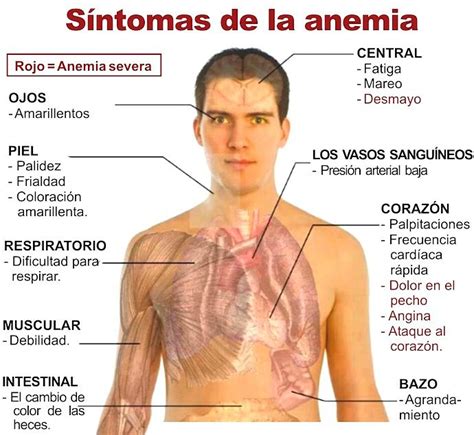 Propedeutico UNADM: Observaciones de pelicula "Un milagro para Lorenzo" y "Esquema de ...