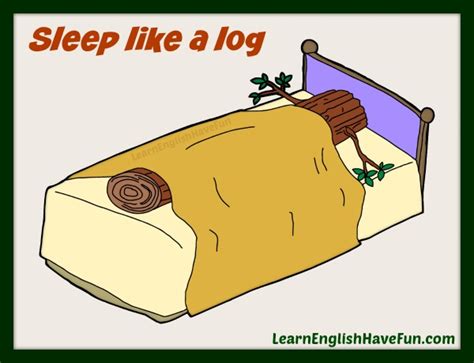 Sleep Like a Log Idiom