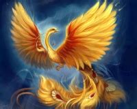 Phoenix - Harry Potter Wiki - Neoseeker