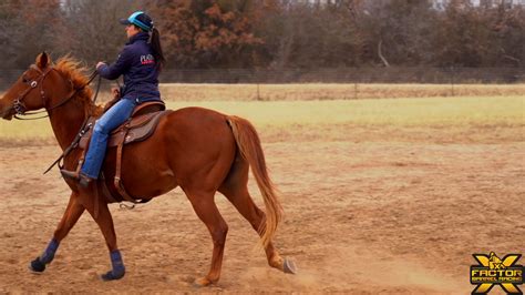 Ideal Body Position with Hailey Kinsel | X Factor Barrel Racing