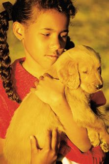 Skin Cancer in dogs - Dogslife. Dog Breeds Magazine