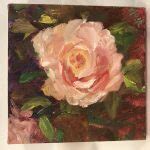 Rose Oil Painting, 6 x 6, 1.5″ Gallery Wrap | Debbie Viola