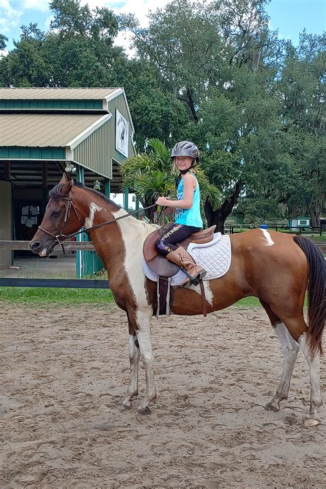 Horse Riding Lessons | Painted Oaks Academy