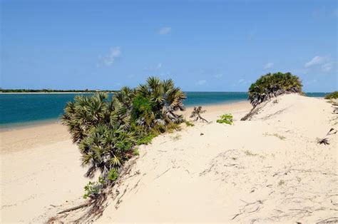 Lamu Beaches | Beach, Kenya, Wildlife safari