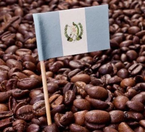 Guatemala Coffee and Culture | Nescafé | UK & IE