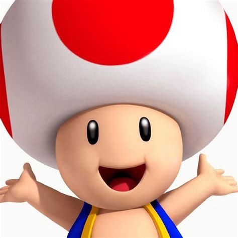 What is under a Toad Mushroom? - AMPHIPEDIA