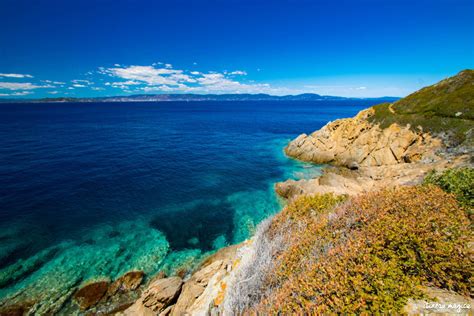 L'île du Levant, la Méditerranée à nu - Itinera-magica.com