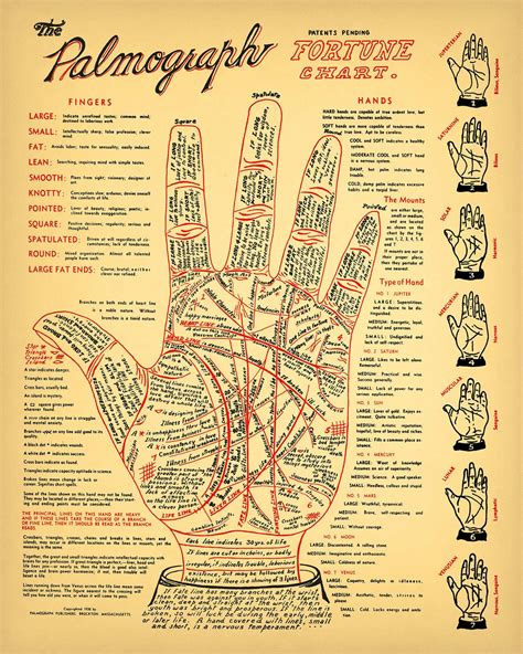 Vintage Palmistry Chart 5 Sizes Fortune Telling Cheiromancy Occult Palm Reading Tarot Antique ...