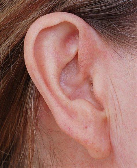 3 Common Earlobe Issues and Procedures To Correct Them