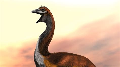 The Elephant Bird Regains Its Title as the Largest Bird That Ever Lived - The New York Times