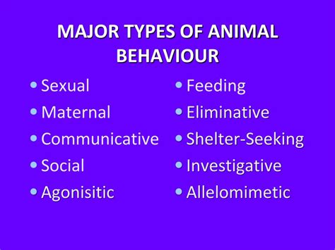 PPT - ANIMAL BEHAVIOUR PowerPoint Presentation, free download - ID:5406689