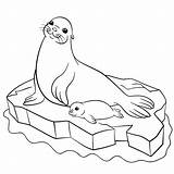Free SEAL Coloring Pages For Download Printable PDF sketch template