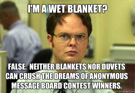 I'M A WET BLANKET? FALSE. NEITHER BLANKETS NOR DUVETS CAN CRUSH THE DREAMS OF ANONYMOUS MESSAGE ...