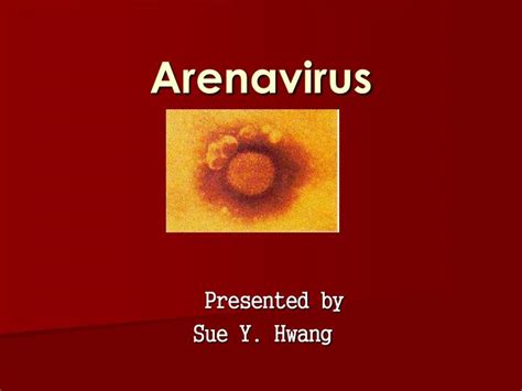 PPT - Arenavirus PowerPoint Presentation, free download - ID:5692879