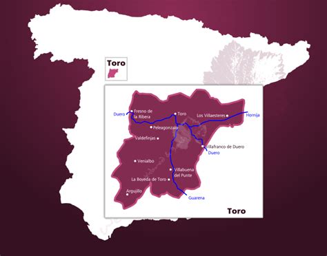 Weinbaugebiet Toro - Weinbau in Spanien, Weine aus der DOP Toro online kaufen