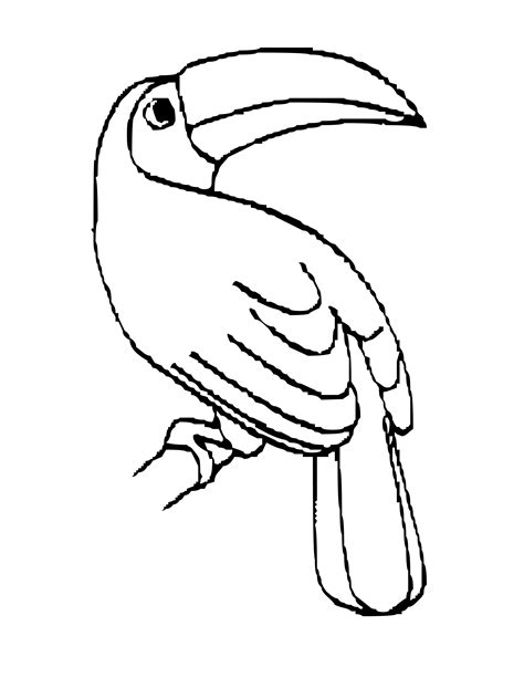 Toucan Clipart Black And White | Free download on ClipArtMag