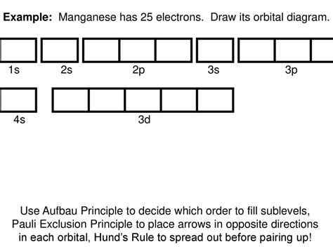 Orbital Filling Diagram - exatin.info