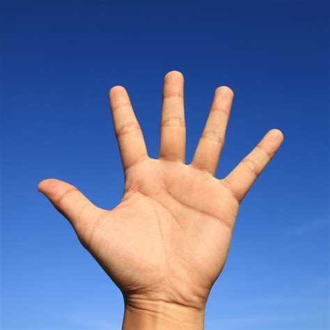 Free Photo | Blue background hands hand human