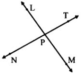 Name the pairs of opposite rays in the figure alongside. - Sarthaks eConnect | Largest Online ...