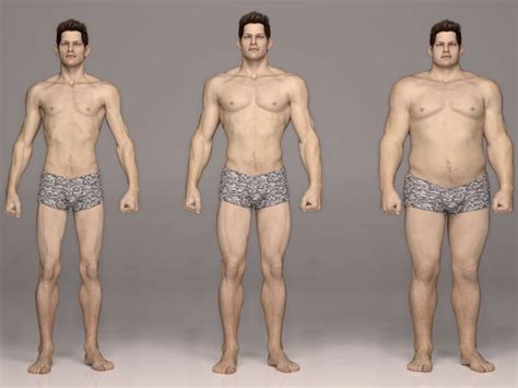 Endomorph Body Transformation