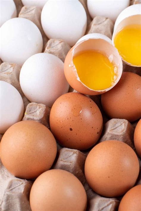 Free Range Eggs vs Regular Eggs - Honeybunch Hunts