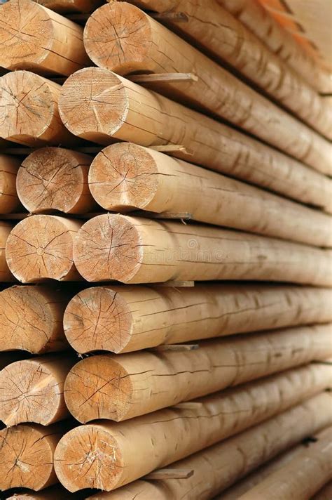 Lumber mill stock image. Image of cutter, material, stumps - 2913807