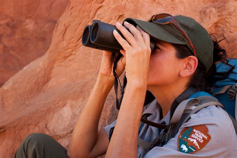 Raptor Monitoring Free Stock Photo - Public Domain Pictures