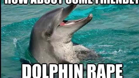 Montage of dolphin memes - YouTube